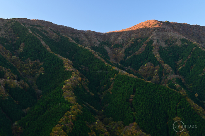 ニコン Nikon Z8 with NIKKOR Z 24-70mm f/2.8 S ／ 奈良 上北山村～天